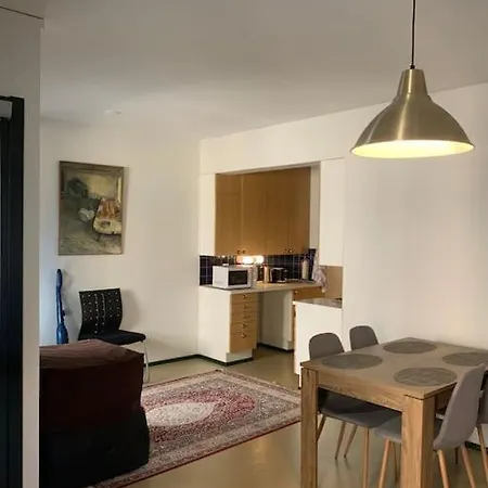 Appartamento 1bhk At Center Helsinki