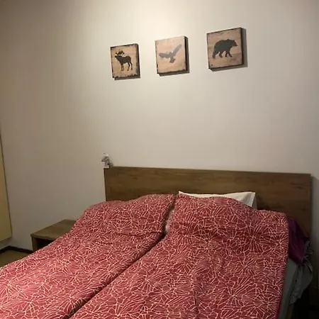 1bhk At Center Helsinki